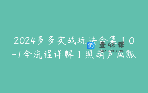 2024多多实战玩法合集【0-1全流程详解】照葫芦画瓢
