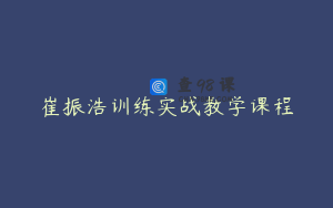 崔振浩训练实战教学课程