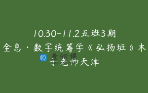 10.30-11.2五班3期全息·数字统筹学《弘扬班》木子老师天津