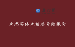 点燃实体老板起号陪跑营