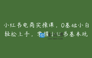 小红书电商实操课，0基础小白轻松上手，掌握小红书基本玩