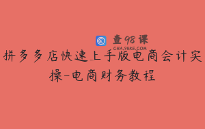 拼多多店快速上手版电商会计实操-电商财务教程