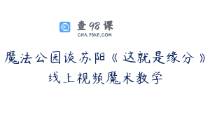 魔法公园谈苏阳《这就是缘分》线上视频魔术教学