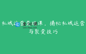 私域运营变现课，揭秘私域运营与裂变技巧