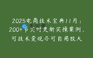 2025电商技术宝典11月：200+节实时更新实操案例，可技术变现亦可自用放大