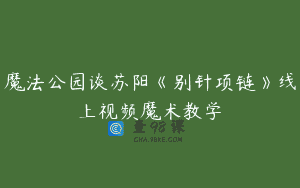 魔法公园谈苏阳《别针项链》线上视频魔术教学