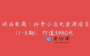 顽石电商·抖音小店无货源项目(1-3期)，价值3980元