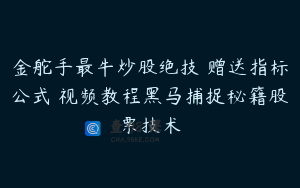 金舵手最牛炒股绝技 赠送指标公式 视频教程黑马捕捉秘籍股票技术