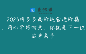 2023拼多多高阶运营进阶篇，用心学好四式，你就是下一位运营高手