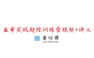 鱼哥实战超短训练营视频+讲义