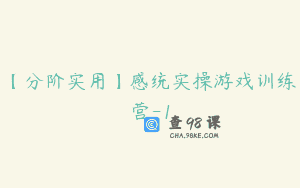 【分阶实用】感统实操游戏训练营-1