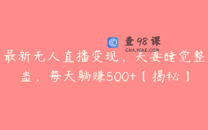 最新无人直播变现，夫妻睡觉整蛊，每天躺赚500+【揭秘】