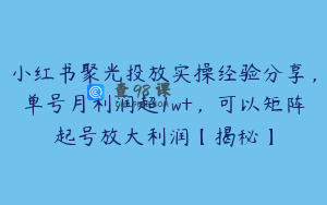 小红书聚光投放实操经验分享，单号月利润超1w+，可以矩阵起号放大利润【揭秘】