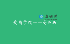 爱商学院——高级版