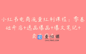 小红书电商流量红利课程：零基础开店+选品爆品+爆文笔记+卖货指南