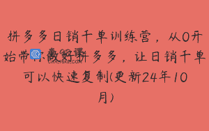 拼多多日销千单训练营，从0开始带你做好拼多多，让日销千单可以快速复制(更新24年10月)