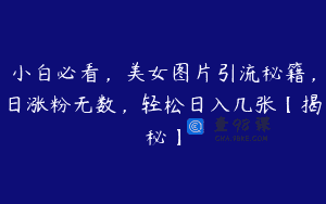 小白必看，美女图片引流秘籍，日涨粉无数，轻松日入几张【揭秘】