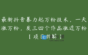 最新抖音暴力起万粉技术，一天涨万粉，发三四个作品涨近万粉【项目拆解】