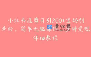 小红书混剪日引200+宝妈创业粉，简单无脑操作，多种变现详细教程