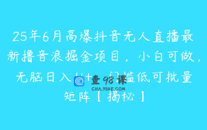 25年6月高爆抖音无人直播最新撸音浪掘金项目，小白可做，无脑日入1k+，门槛低可批量矩阵【揭秘】