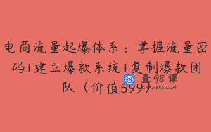 电商流量起爆体系：掌握流量密码+建立爆款系统+复制爆款团队（价值599）