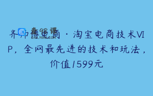 齐师傅电商·淘宝电商技术VIP,全网最先进的技术和玩法,价值1599元