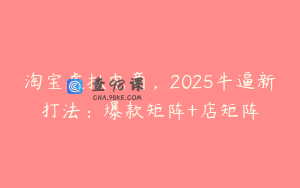 淘宝虚拟电商，2025牛逼新打法：爆款矩阵+店矩阵