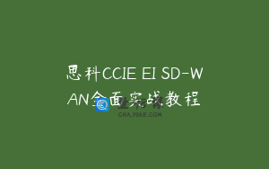 思科CCIE EI SD-WAN全面实战教程