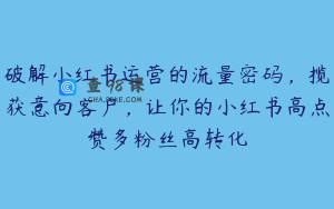 破解小红书运营的流量密码，揽获意向客户，让你的小红书高点赞多粉丝高转化