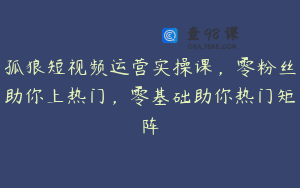 孤狼短视频运营实操课，零粉丝助你上热门，零基础助你热门矩阵