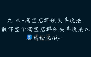 九栢米-淘宝店群领头羊玩法，教你整个淘宝店群领头羊玩法以及精细化/终…