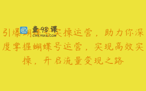 引爆蝴蝶号实操运营，助力你深度掌握蝴蝶号运营，实现高效实操，开启流量变现之路