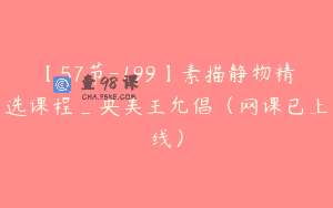 【57节-199】素描静物精选课程_央美王允倡（网课已上线）
