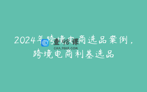 2024年跨境电商选品案例,跨境电商利基选品