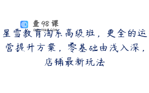 星雪教育淘系高级班，更全的运营提升方案，零基础由浅入深，店铺最新玩法