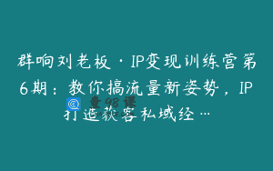 群响刘老板·IP变现训练营第6期：教你搞流量新姿势，IP打造获客私域经…