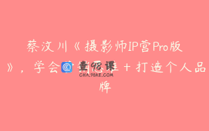蔡汶川《摄影师IP营Pro版》，学会营销思维＋打造个人品牌