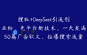 搜狐+DeepSeek引流创业粉，老平台新技术，一天发满50篇广告软文，拉爆搜索流量