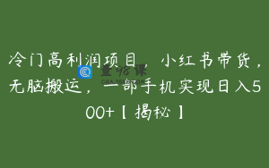 冷门高利润项目，小红书带货，无脑搬运，一部手机实现日入500+【揭秘】
