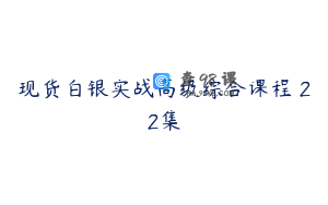 现货白银实战高级综合课程 22集