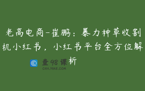 老高电商-崔鹏：暴力种草收割机小红书，小红书平台全方位解析