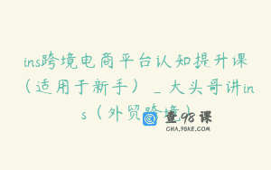 ins跨境电商平台认知提升课（适用于新手）_大头哥讲ins（外贸跨境）