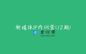 新媒体IP内训营(12期)