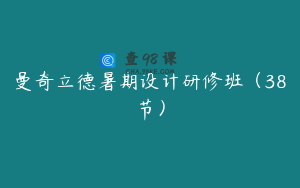 曼奇立德暑期设计研修班（38节）