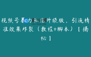 视频号暴力私信升级版，引流精准效果炸裂（教程+脚本）【揭秘】