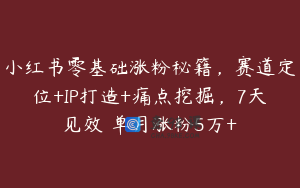 小红书零基础涨粉秘籍，赛道定位+IP打造+痛点挖掘，7天见效 单月涨粉5万+