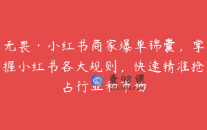 无畏·小红书商家爆单锦囊，掌握小红书各大规则，快速精准抢占行业和市场