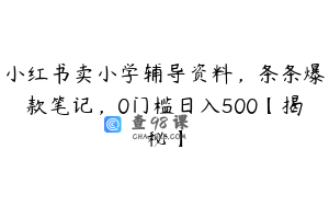 小红书卖小学辅导资料，条条爆款笔记，0门槛日入500【揭秘】