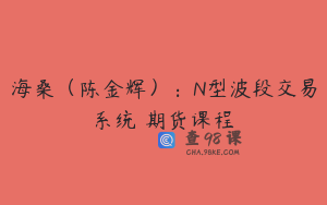 海桑（陈金辉）：N型波段交易系统 期货课程
