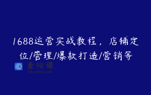 1688运营实战教程，店铺定位/管理/爆款打造/营销等